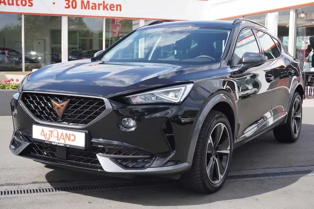 Cupra Formentor 2.0 TSI DSG 4Drive LED Navi Kam ACC VC 04/2022-photo-0