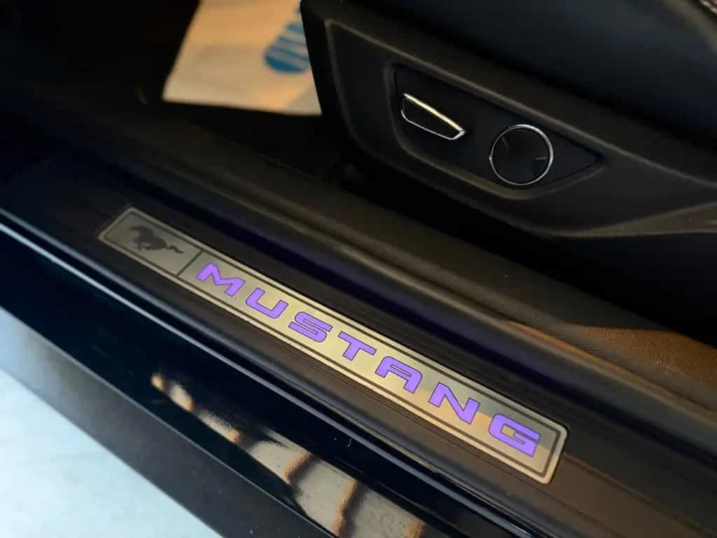Ford Mustang 5.0 V8 GT.500 SHELBY STYLE-EXTREM-DIGI 07/2019-photo-18