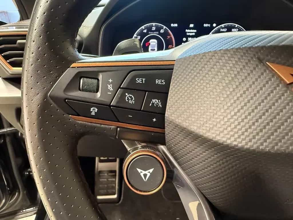 Cupra Formentor 2.0 TSI DSG VZ 4Drive AHK|LED|SHZ|Wint 08/2021-photo-11