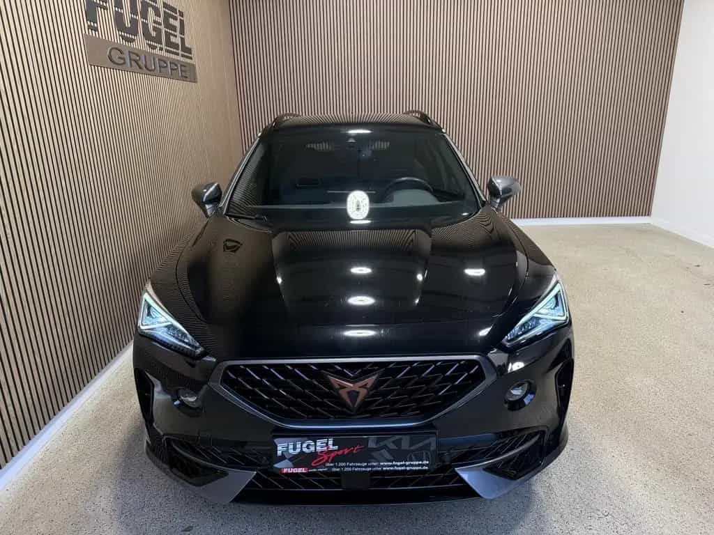 Cupra Formentor 2.0 TSI DSG VZ 4Drive AHK|LED|SHZ|Wint 08/2021-photo-22