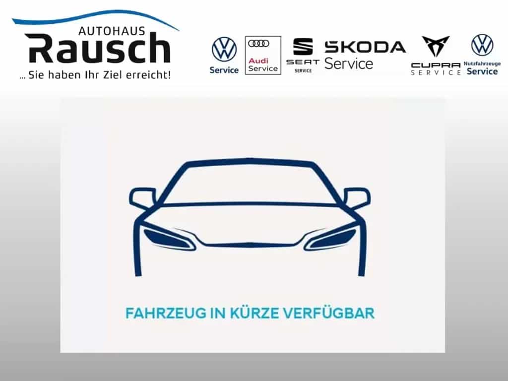 Volkswagen Golf VIII 1.5 TSI Active HuD STNDHZ SHZ An Gar 0 03/2023-photo-9