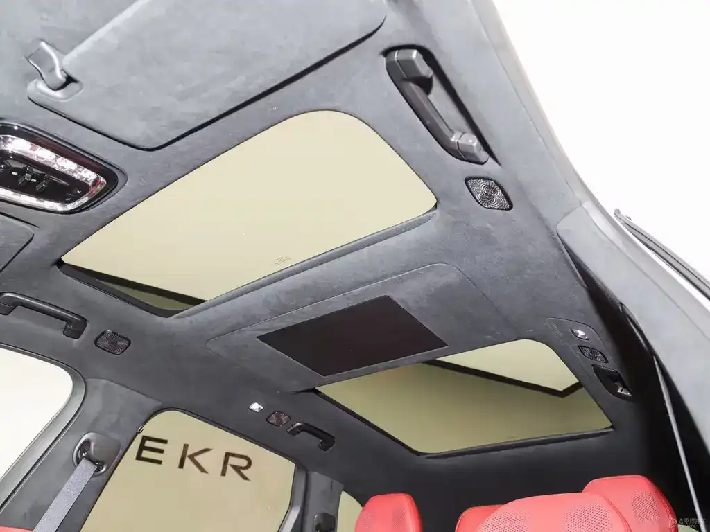 Zeekr Other 8X 55kWh MAX null-photo-20