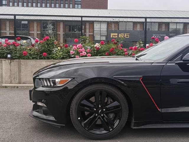 Preview: undefined undefined