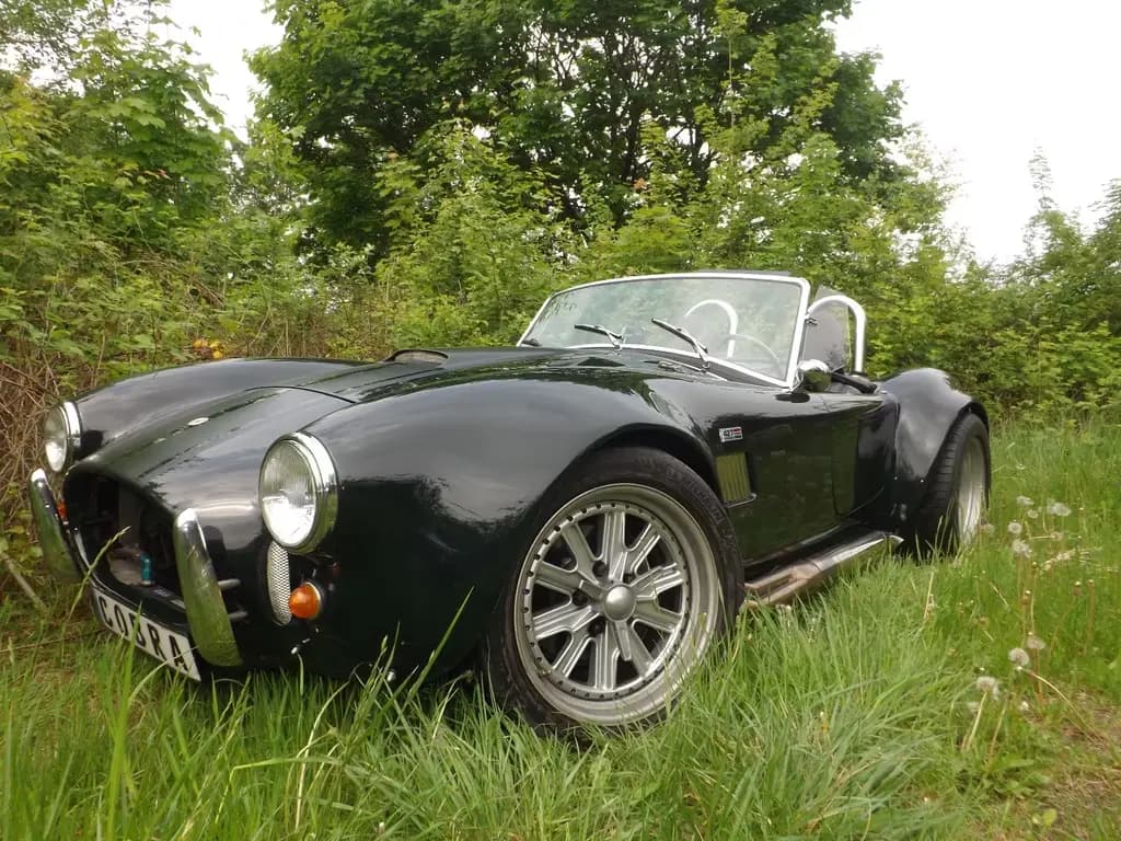 Main__Slider__Photo:Cobra Other Replica - sogar ein original Phoenix Cobra! 04/1973-0