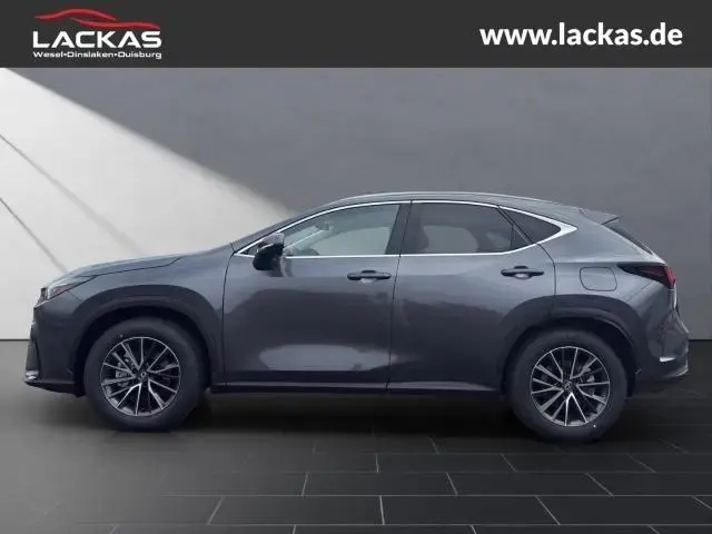 Main__Slider__Photo:Lexus NX 350h h 243PS Executive Interi eur Paket + Tec null-1