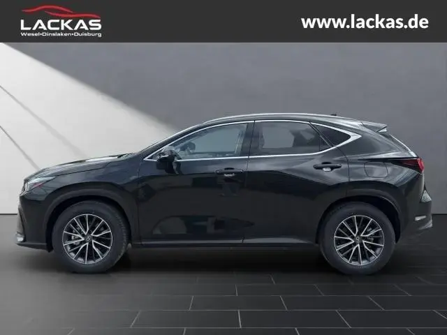 Main__Slider__Photo:Lexus NX 350h h 243 PS Executive *15-J ahre Garantie* null-1