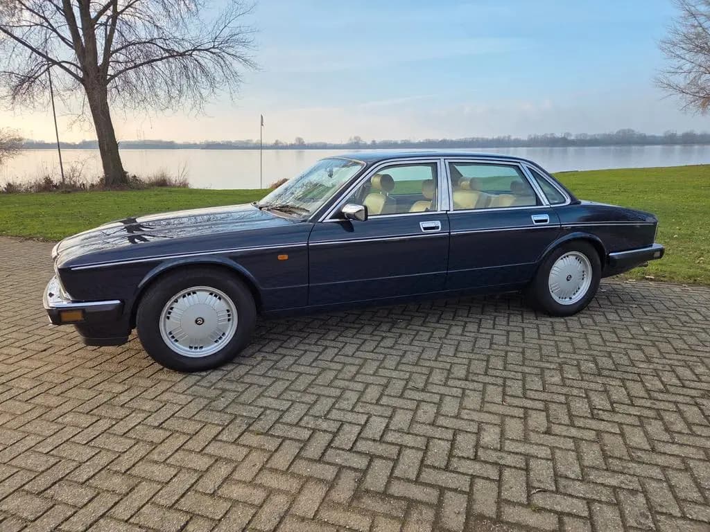 Preview: undefined undefined