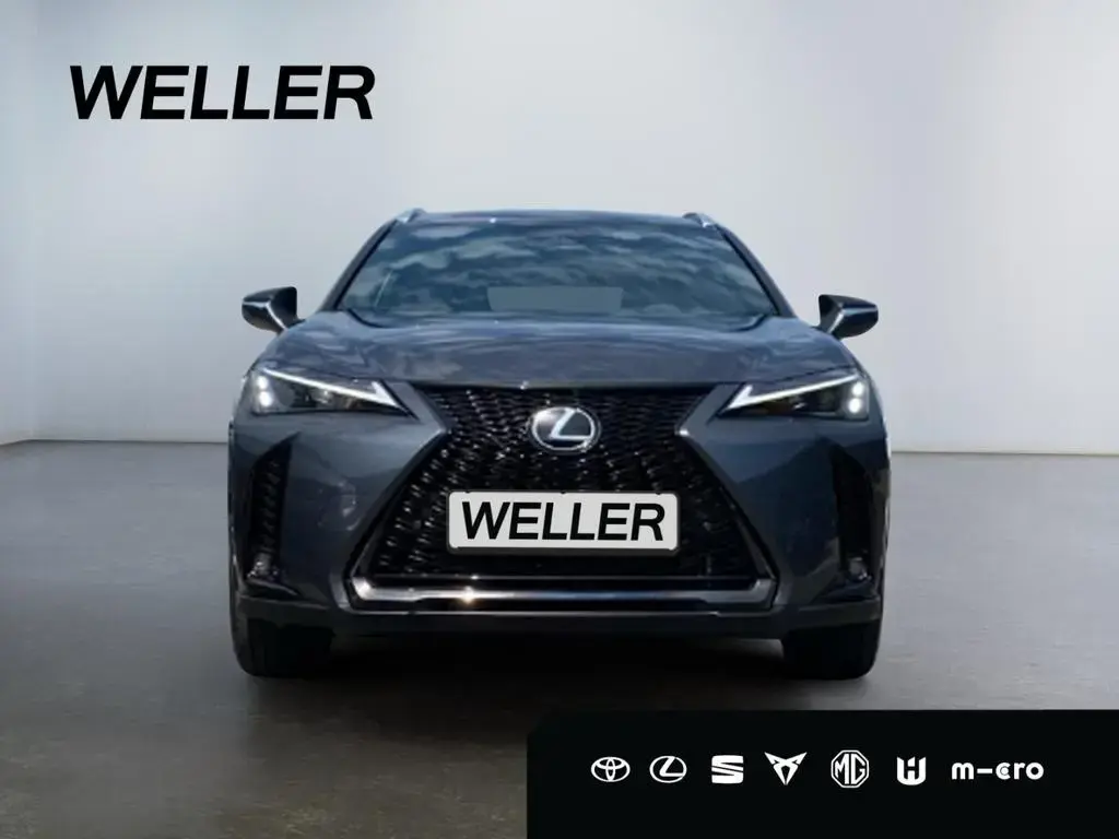 Main__Slider__Photo:Lexus UX 300h 2,0, 4x2 Hybrid 5-Türer F-SPOR Design 02/2026-1