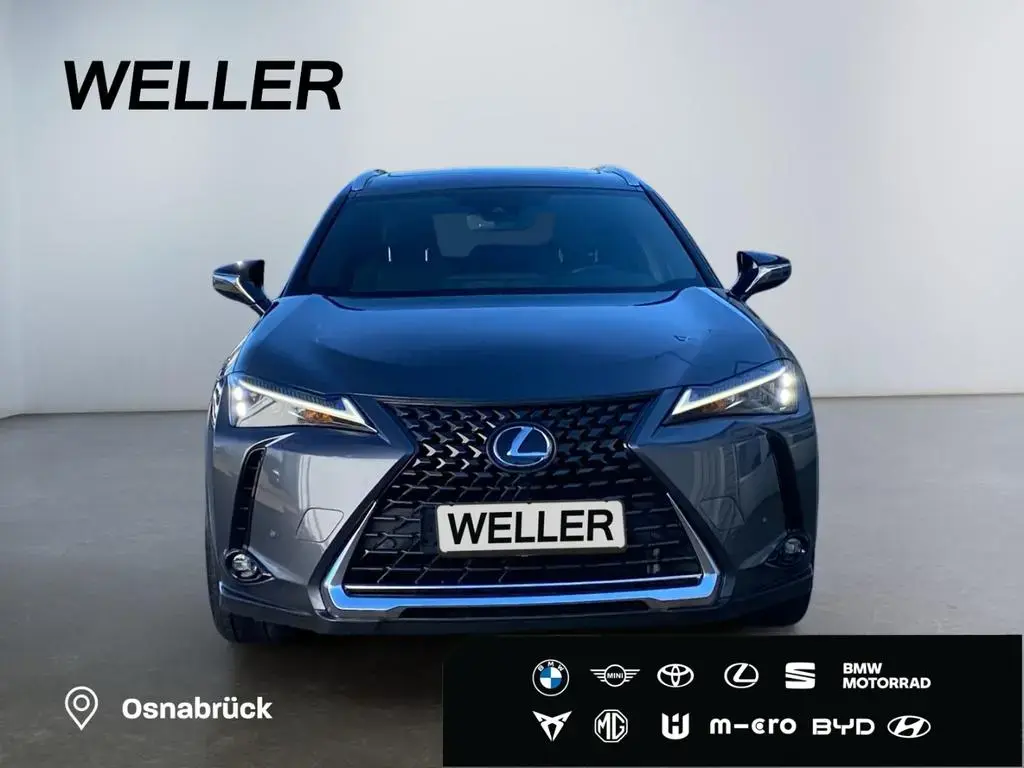Main__Slider__Photo:Lexus UX 250h Executive Line *HUD*Leder*GSD*CAM*el Hec 11/2023-1