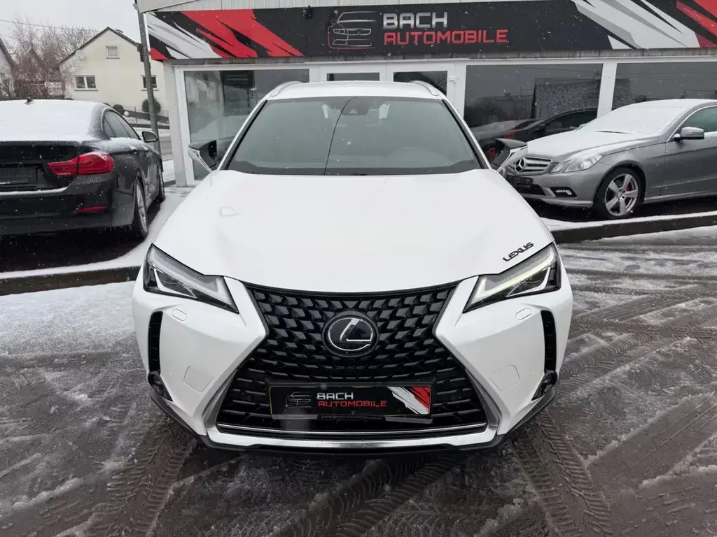 Main__Slider__Photo:Lexus UX 250 h Alcantara LED 01/2020-1