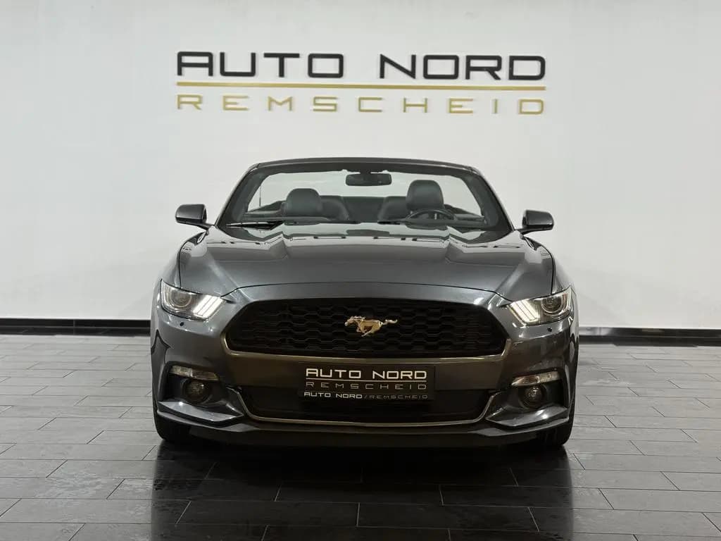 Main__Slider__Photo:Ford Mustang Convertible Automatik*Leder*Kamera*19"* 12/2015-0