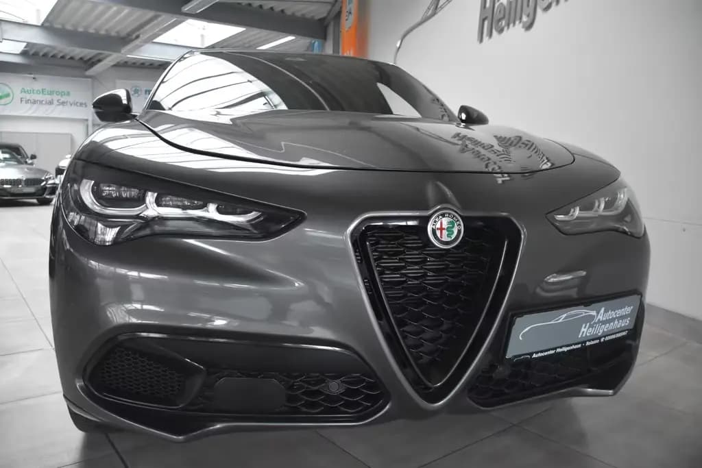 Main__Slider__Photo:Alfa Romeo Stelvio Q4 MatLED Navi Leder Kam HarmKardon ACC 05/2024-0