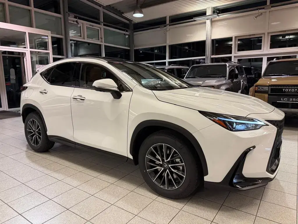 Main__Slider__Photo:Lexus NX 450h+ 4 WD-EXECUTIVE-360 KAM.-PANORMA-HEAD UP 01/2026-1
