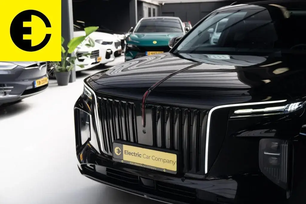 Main__Slider__Photo:Hongqi E-HS9 99 KWH EXCLUSIVE | Massage stoelen | Panor 10/2023-1