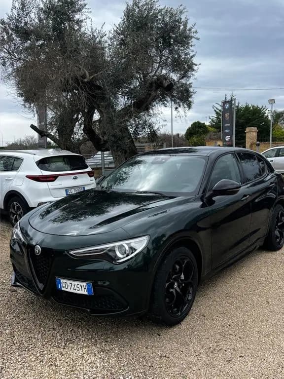 Main__Slider__Photo:Alfa Romeo Stelvio 2.2 Turbodiesel 160 CV km 900 01/2021-0