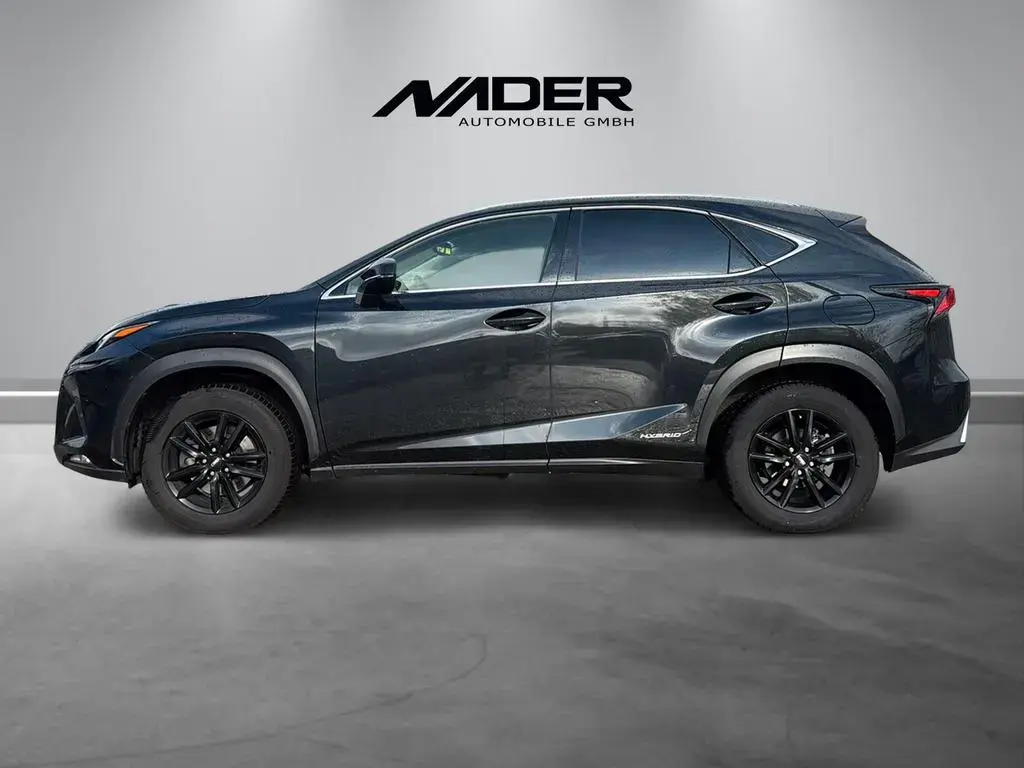 Main__Slider__Photo:Lexus NX 300 h Navi | CarPlay | LED | LM 17" | Kamera 06/2021-1