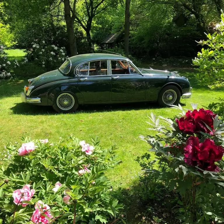 Main__Slider__Photo:Jaguar MK II 2.4 Overdrive RL Schalter 03/1965-0