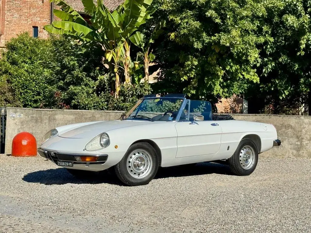 Main__Slider__Photo:Alfa Romeo Spider 2.0 veloce 04/1980-1