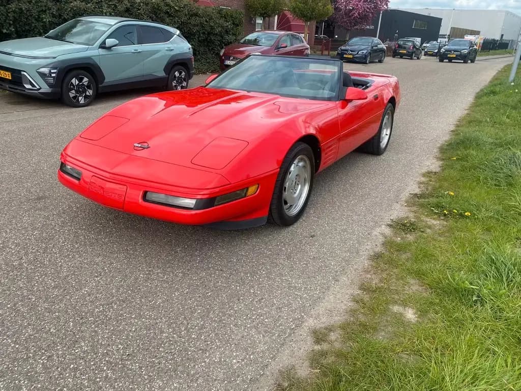 Preview: undefined undefined