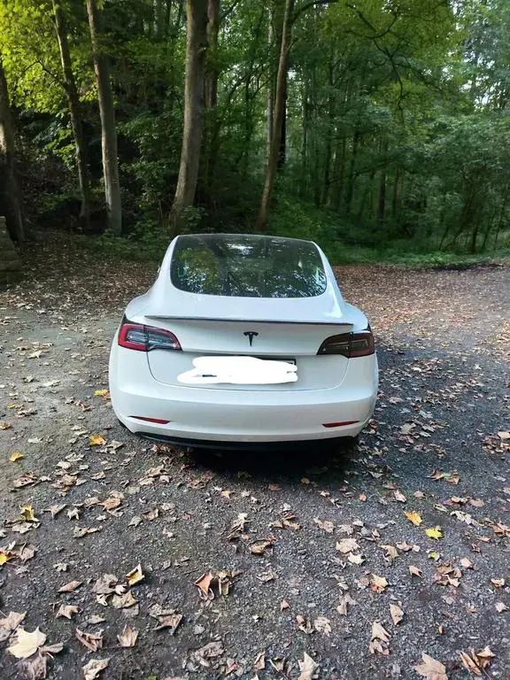 Main__Slider__Photo:Tesla Model 3 Standard-Reichweite Plus - Hinterrad... 04/2021-1