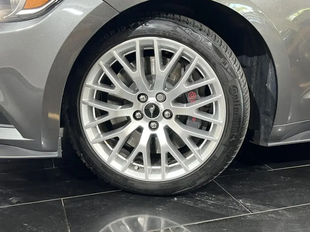 Main__Slider__Photo:Ford Mustang 5.0 GT Convertible *Kamera*Perf-Paket* 03/2016-1