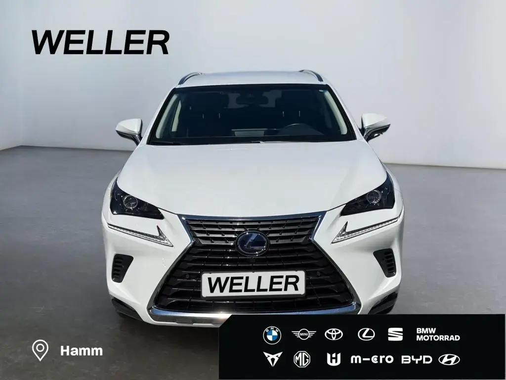Main__Slider__Photo:Lexus NX 300 h E-FOUR Business Line *LED*ACC*Navi*CAM*S 03/2018-1