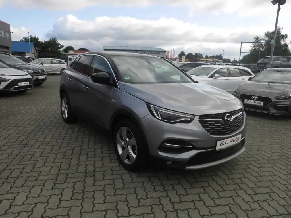 Main__Slider__Photo:Opel Grandland (X)/NAVI/KAM/KLIMA/PDC/TEMPO/SITZHZG/ 12/2019-1