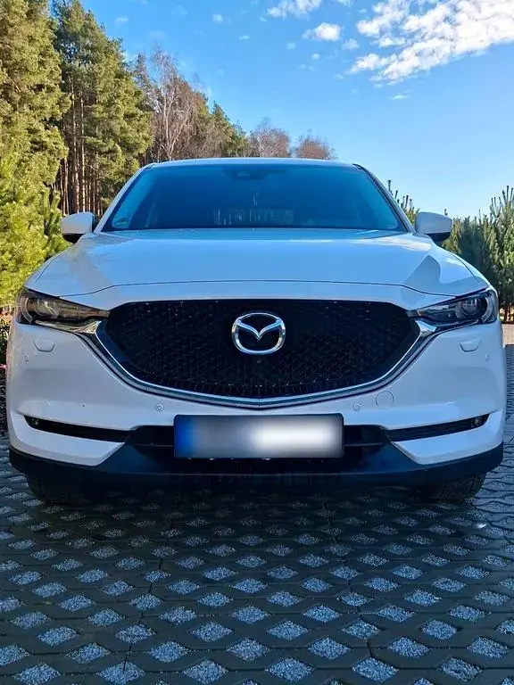 Main__Slider__Photo:Mazda CX-5 Skyactive-G Edition Kangei FWD ... 07/2019-1