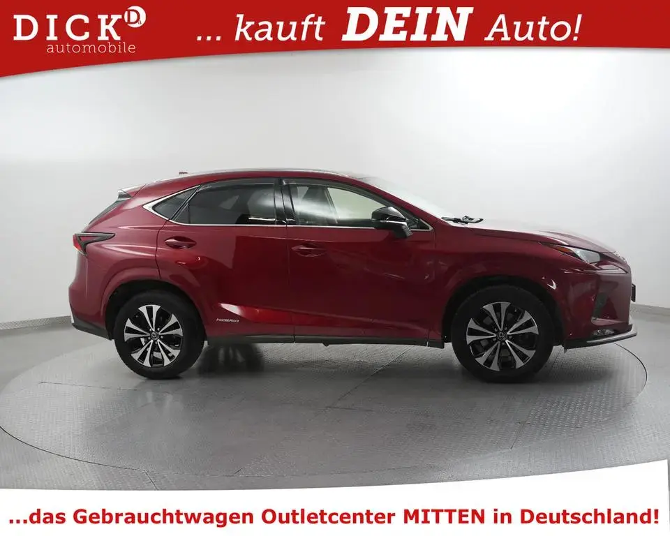 Main__Slider__Photo:Lexus NX 300h Style Edit NAVI+KAM+LEDER+SHZ+ACC+LED+18 03/2021-1