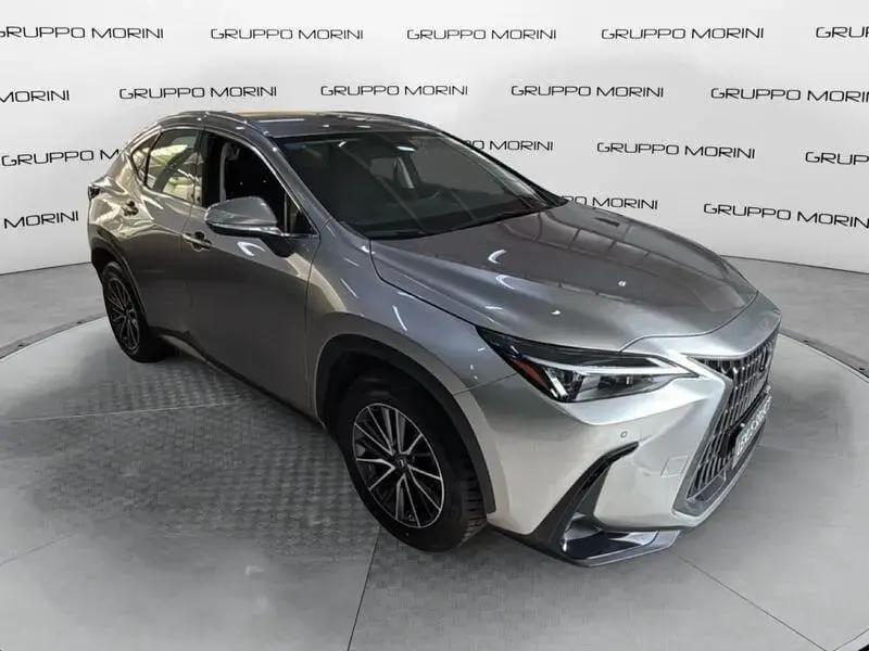Main__Slider__Photo:Lexus NX Hybrid Business 2WD 04/2024-1