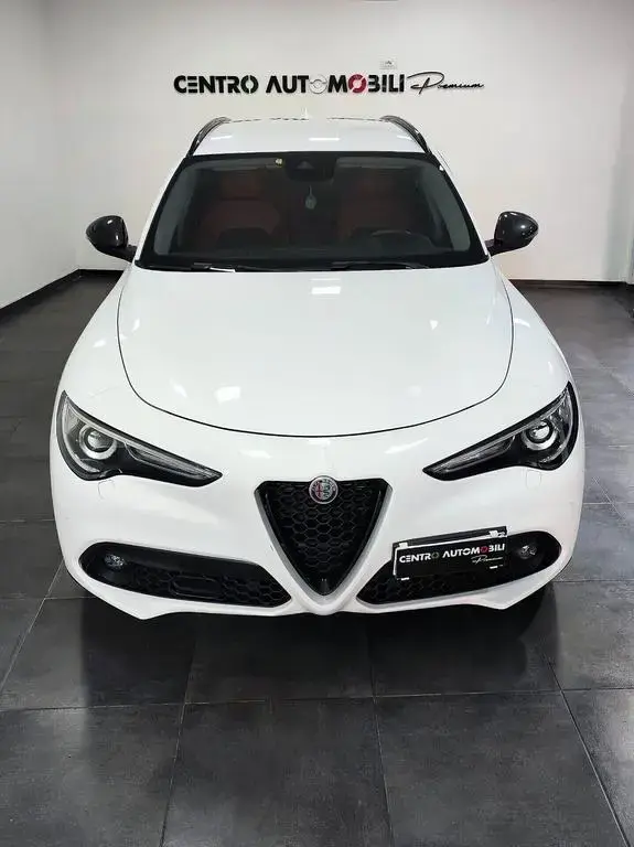 Main__Slider__Photo:Alfa Romeo Stelvio 2.2 Turbodiesel 190 CV AT8 Su 05/2019-1