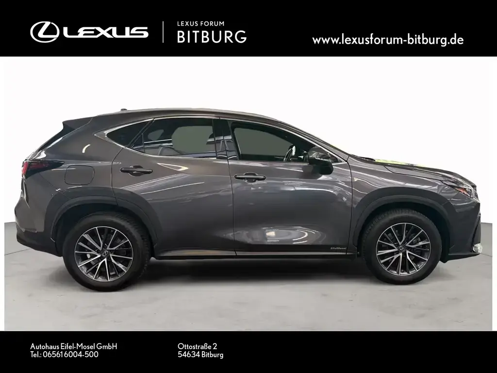 Main__Slider__Photo:Lexus NX 450h NX 450 Business Line bis 15 Jahre Lexus Relax Ga 03/2022-1
