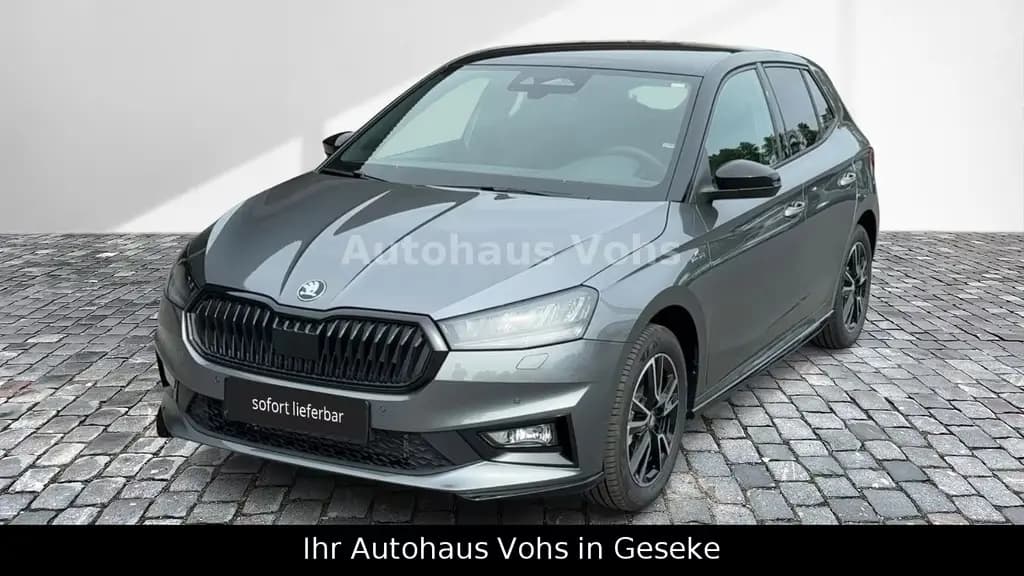 Main__Slider__Photo:Skoda Fabia DSG Monte Carlo|LHZ|SHZ|KEYL|RFK|ACC|Link| 03/2026-0