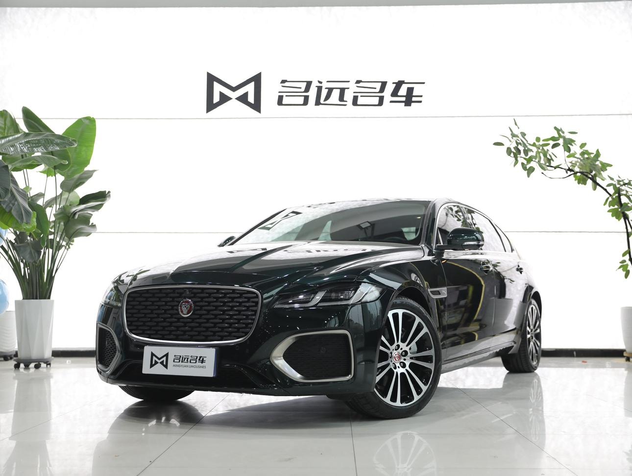 Main__Slider__Photo:undefined undefined 2024-0