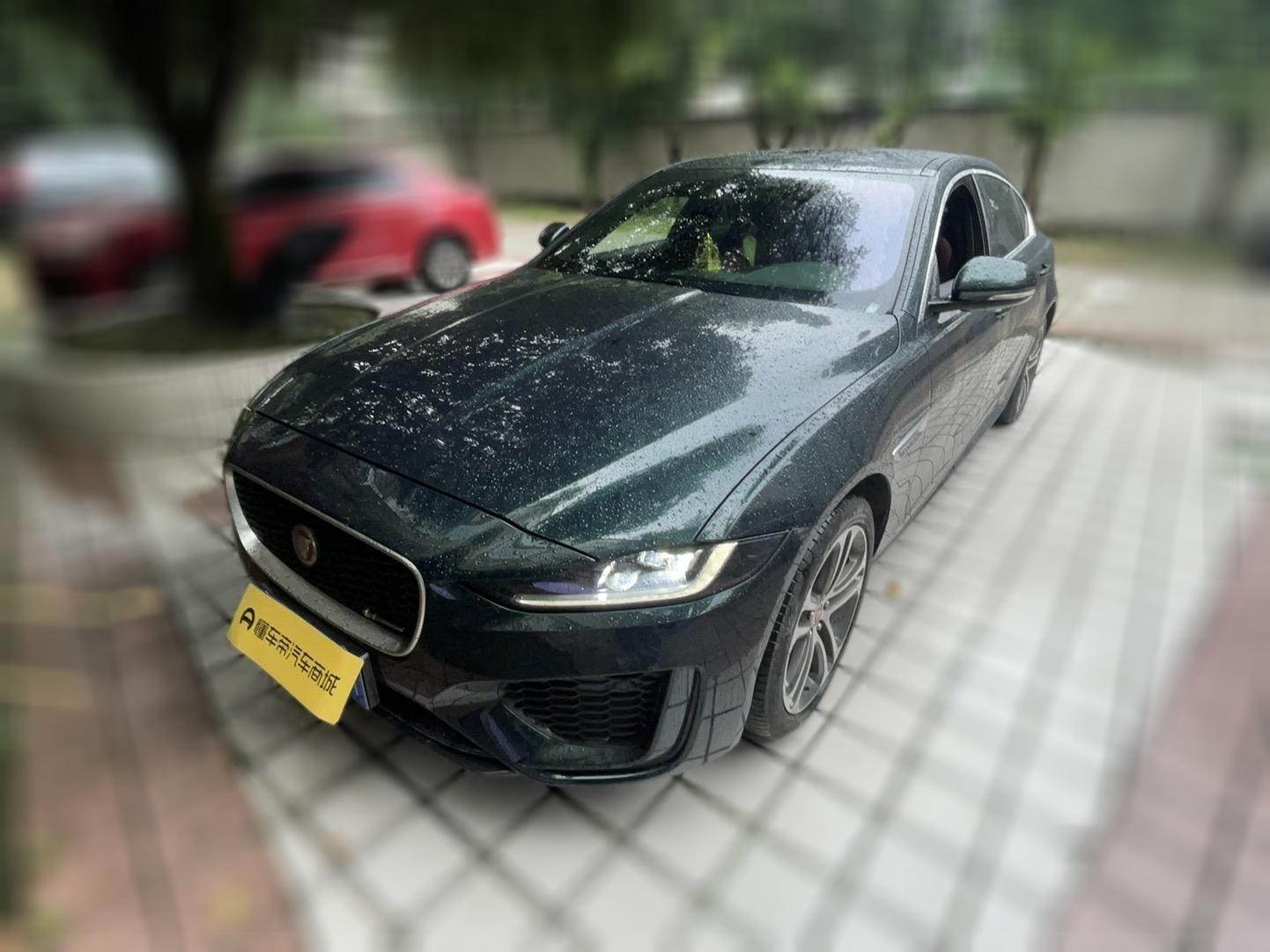 Main__Slider__Photo:undefined undefined 2023-0