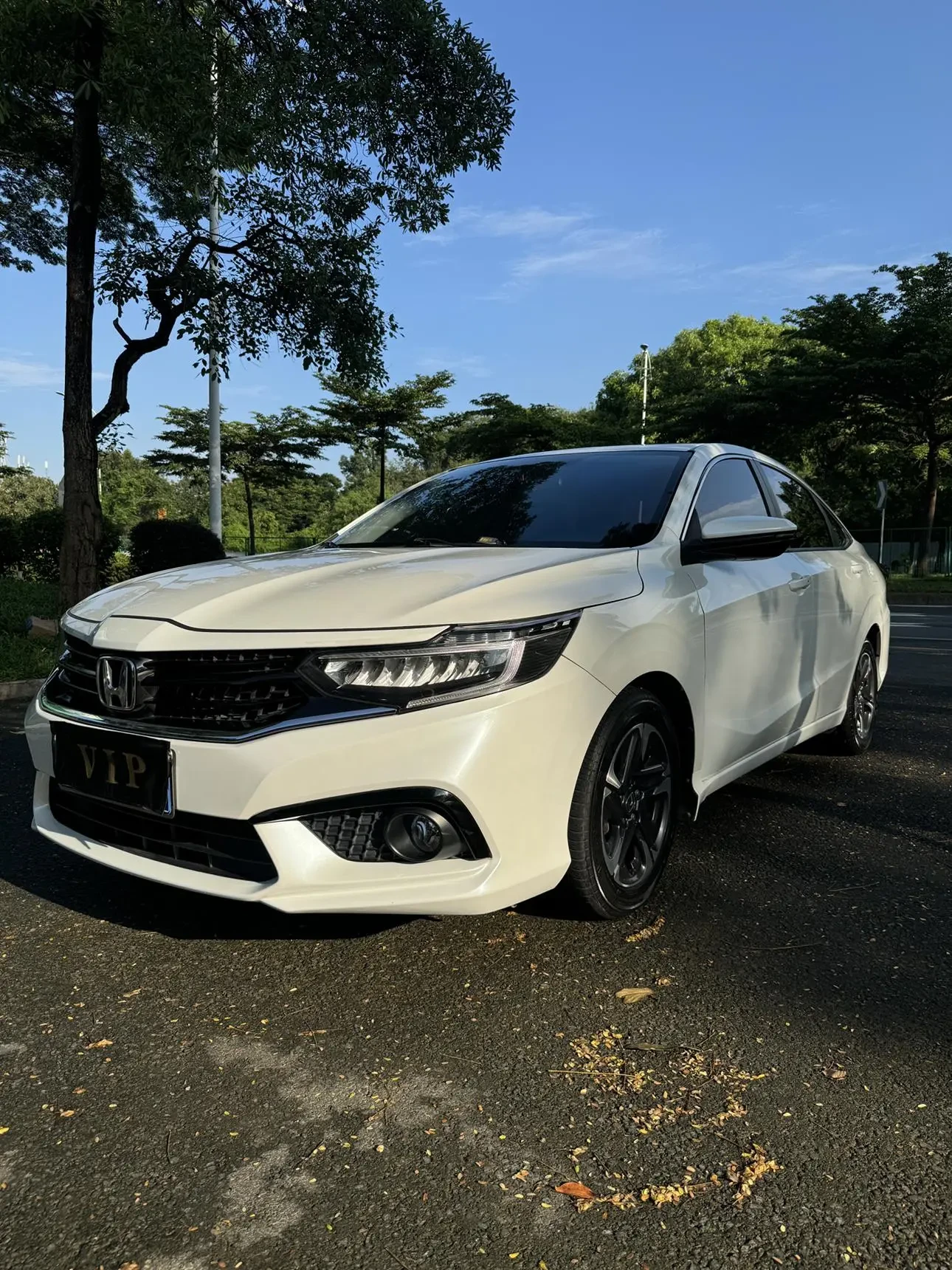 Main__Slider__Photo:undefined undefined 2019-0