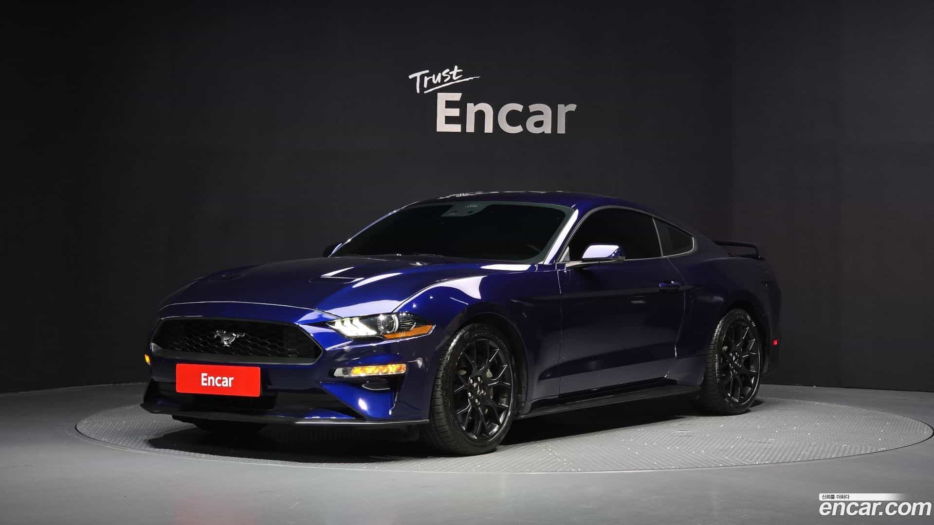 Mustang Ford 2020.6-OUTER-001