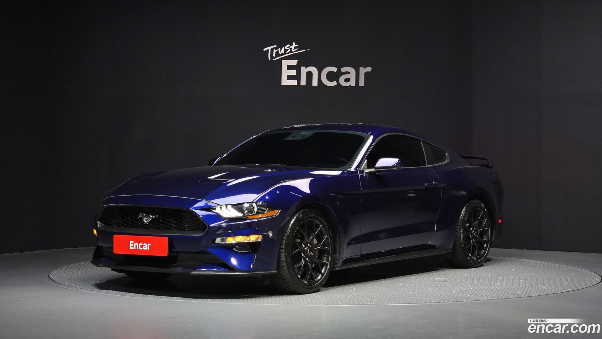 Main__Slider__Photo:Mustang Ford 2020.6-0