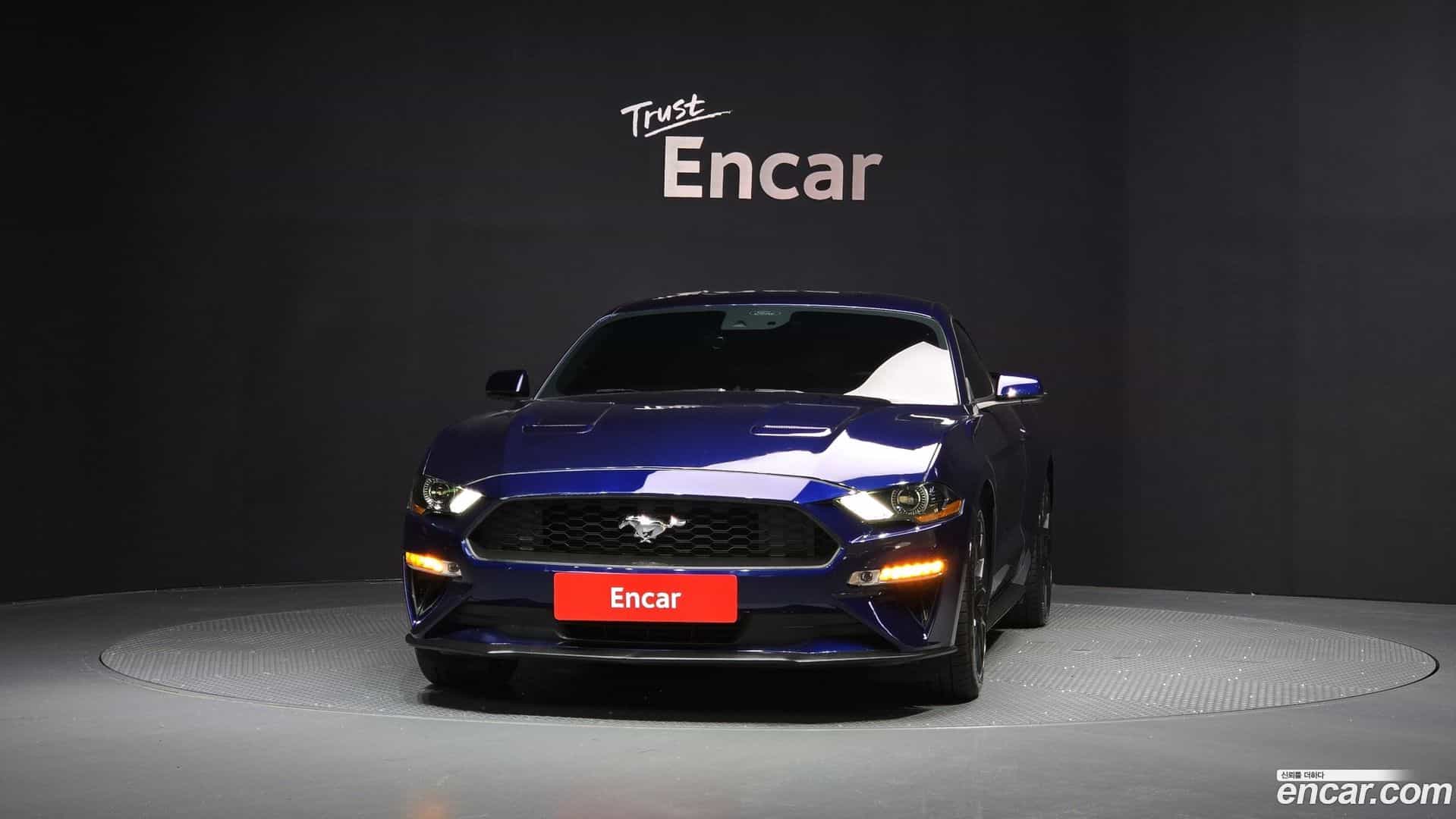 Mustang Ford 2020.6-OUTER-003