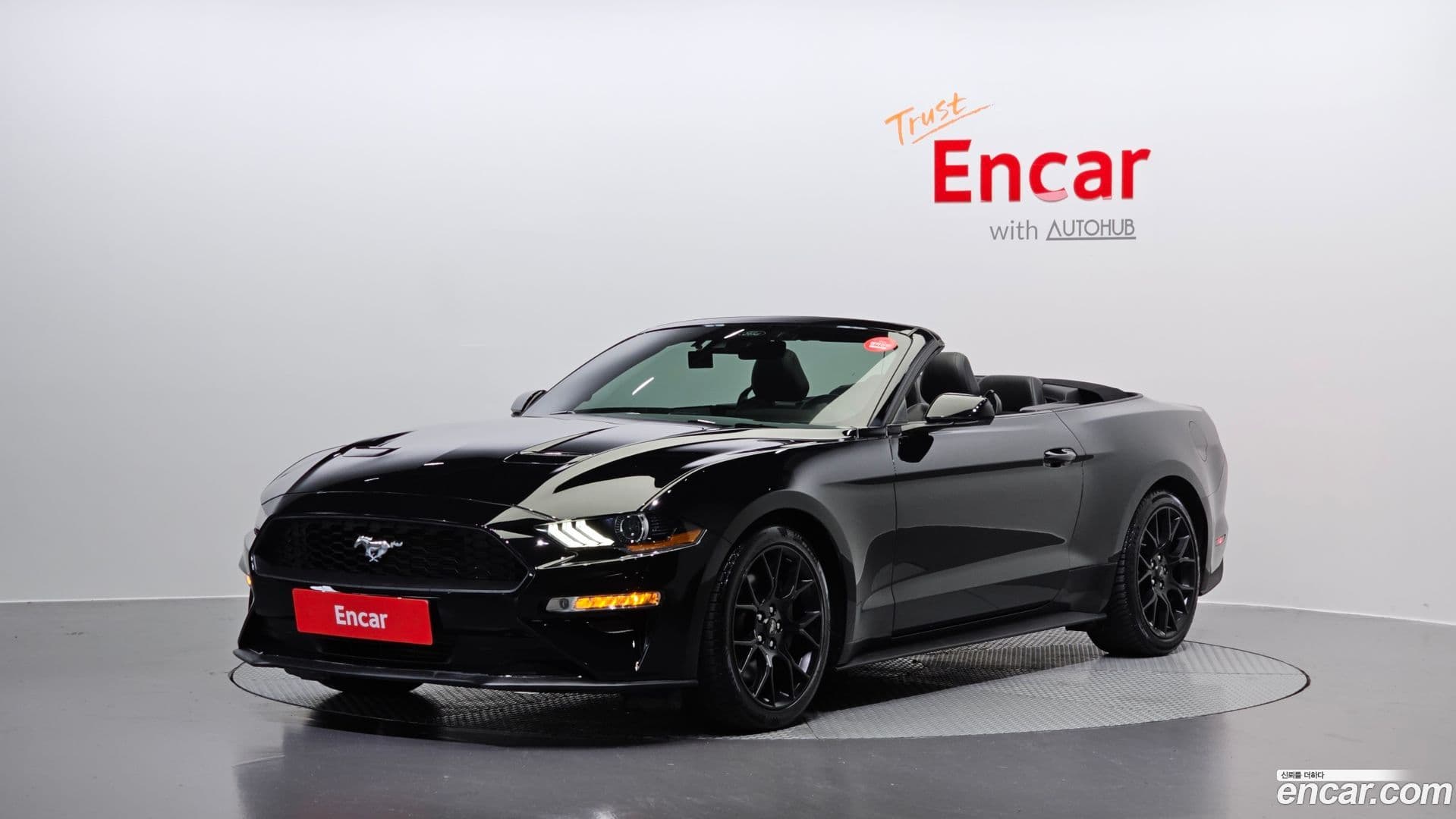 Main__Slider__Photo:Mustang Ford 2022.9-0