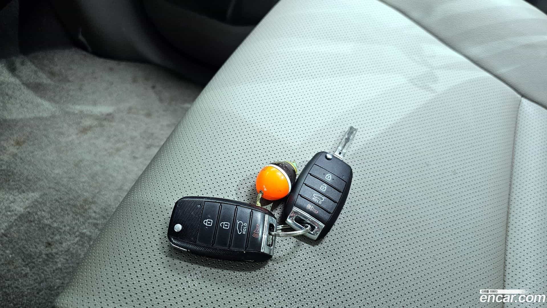 Canival Kia 2015.10-OPTION-021