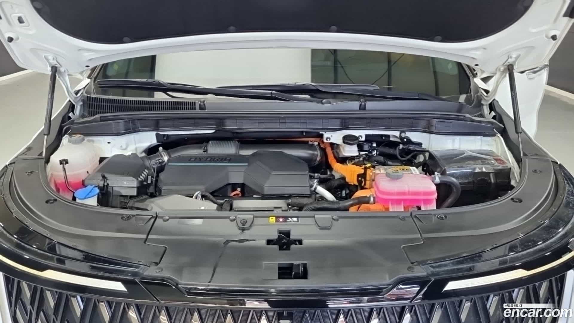 Canival Kia 2024.2-INNER-006