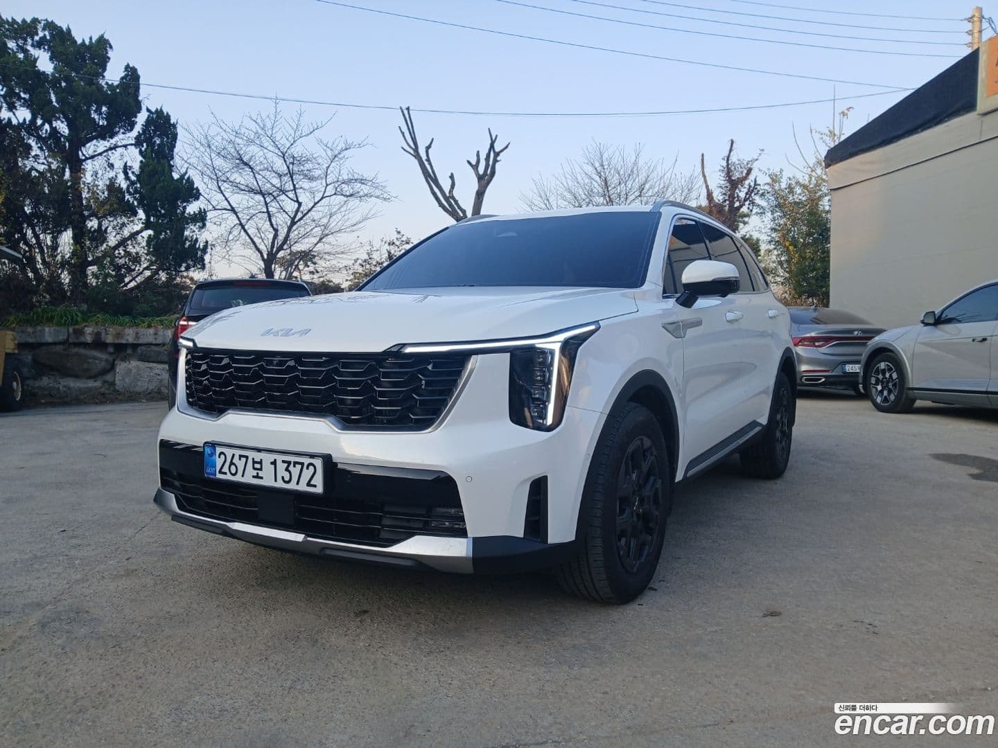 Main__Slider__Photo:Sorento Kia 2024.10-0