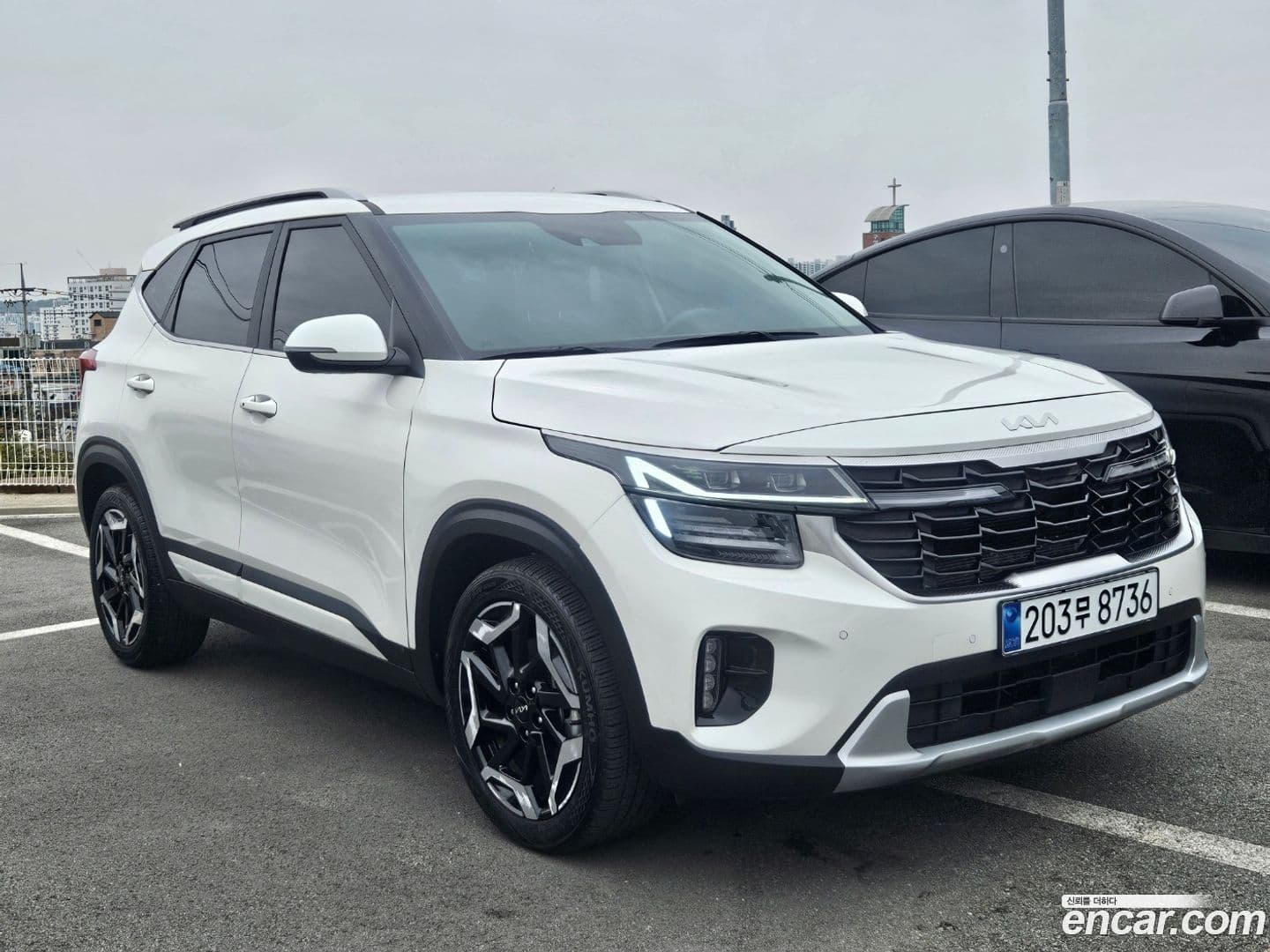 Main__Slider__Photo:Seltos Kia 2024.2-0