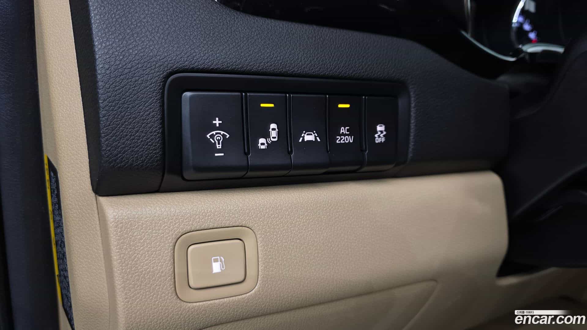 Canival Kia 2019.4-OPTION-015
