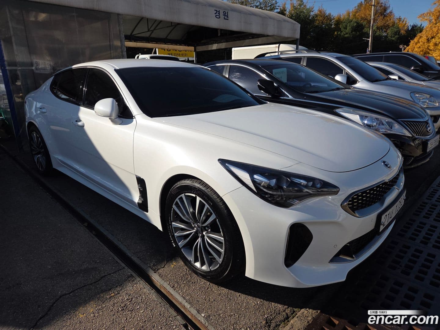 Main__Slider__Photo:Stinger Kia 2017.8-0