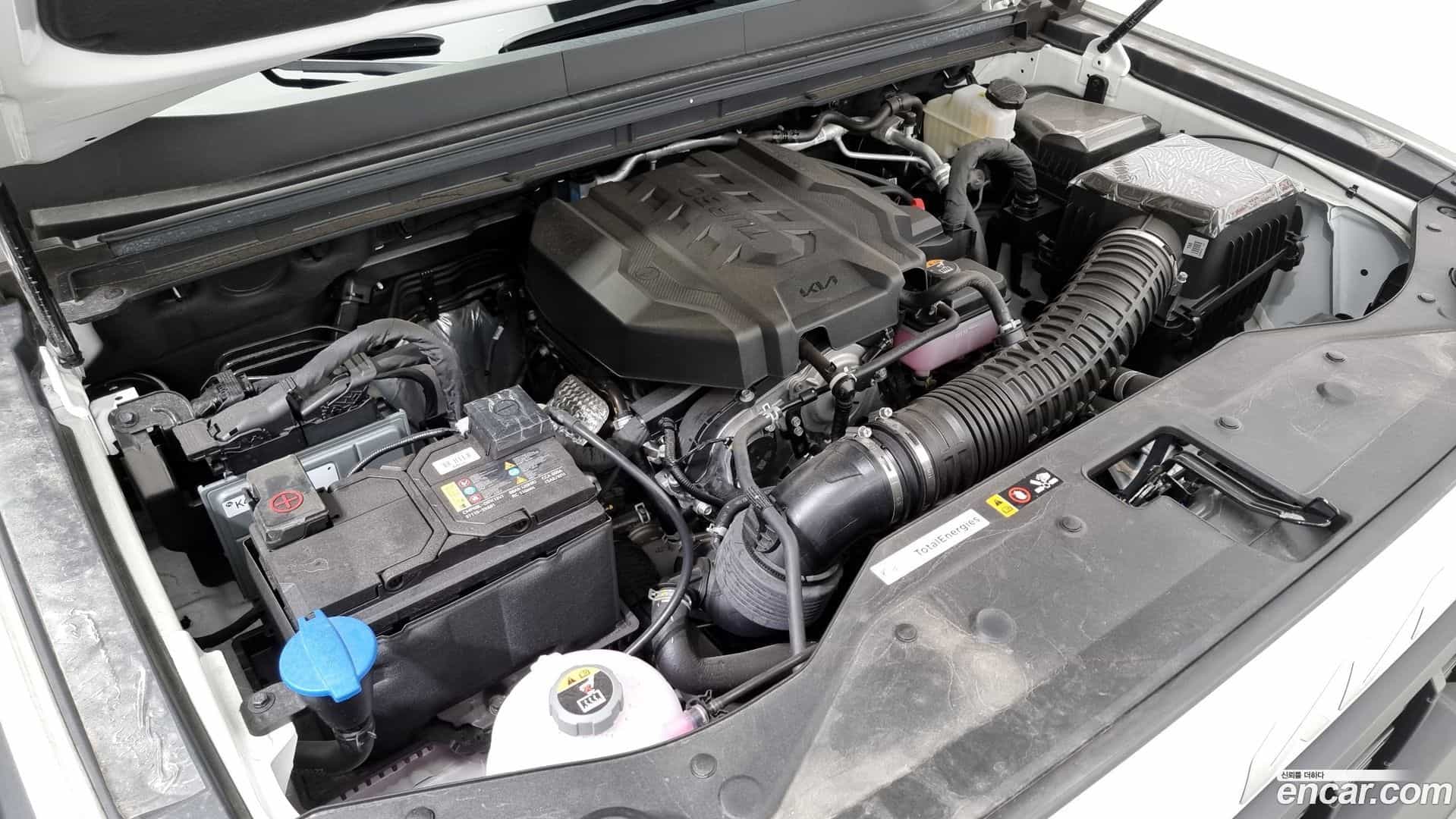 Tasman Kia 2025.3-INNER-6