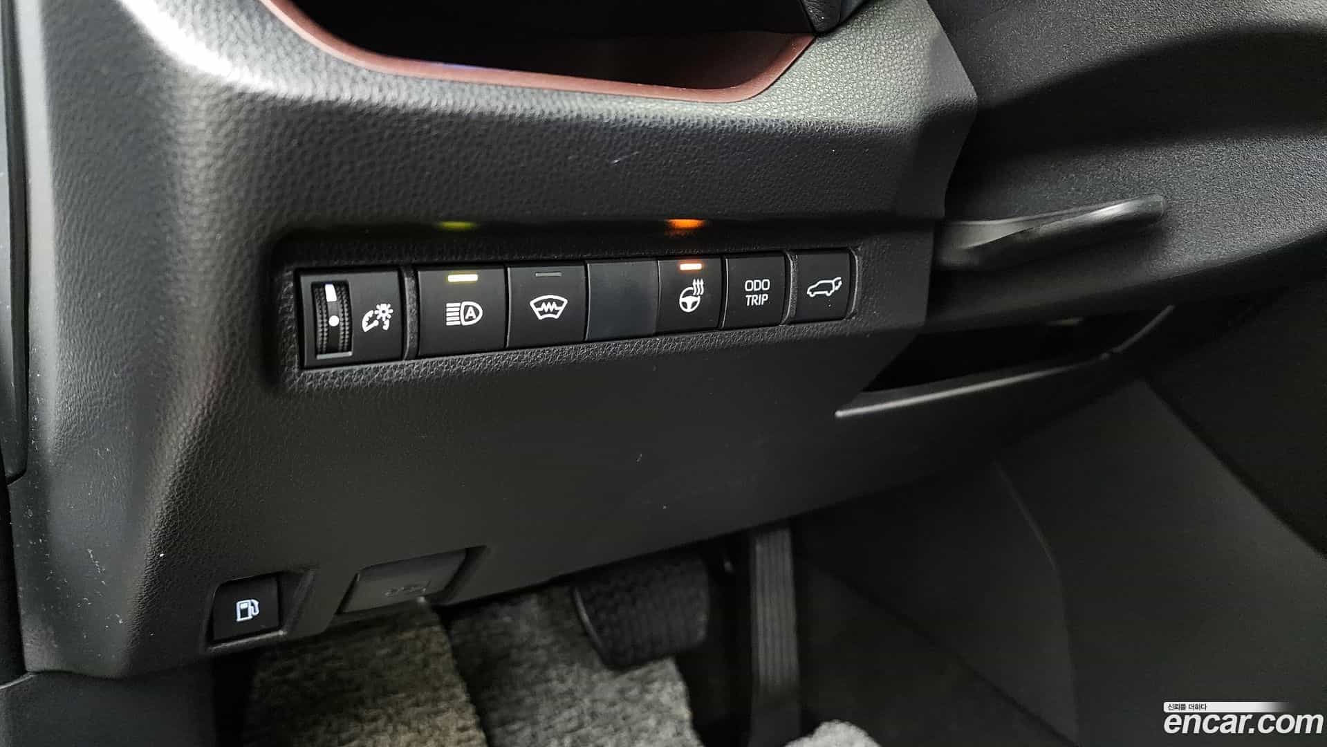 RAV4 Toyota 2024.1-OPTION-020