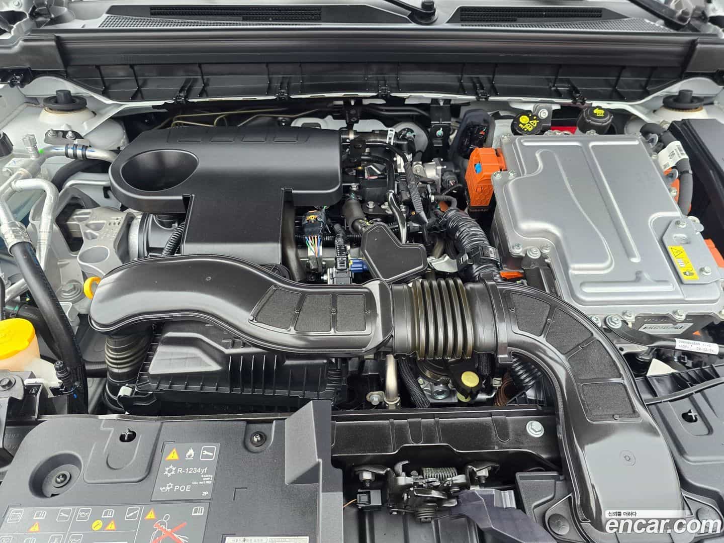 Arkana Renault Korea 2024.6-OPTION-020