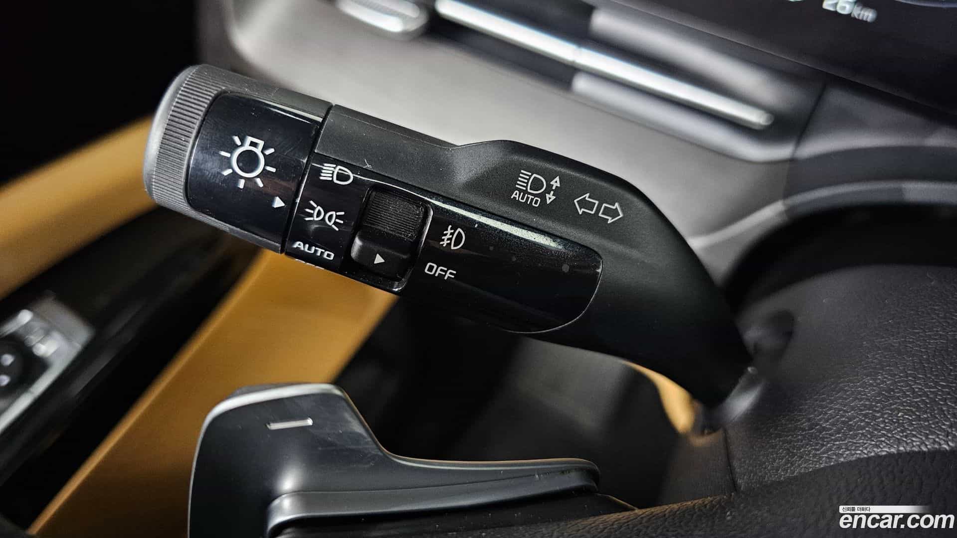 Canival Kia 2020.11-OPTION-021